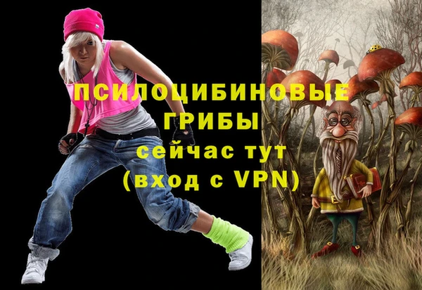 бутират Переславль-Залесский