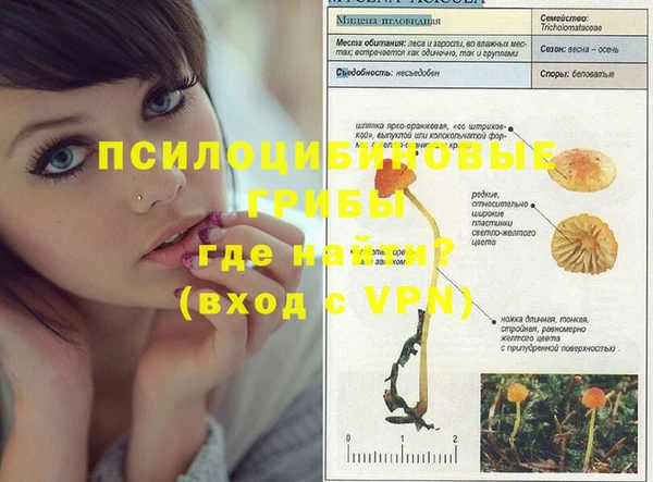 ECSTASY Пестово