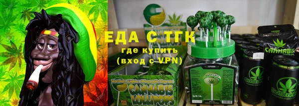 хмурый Ельня