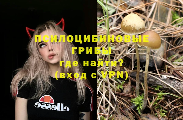таблы Елабуга