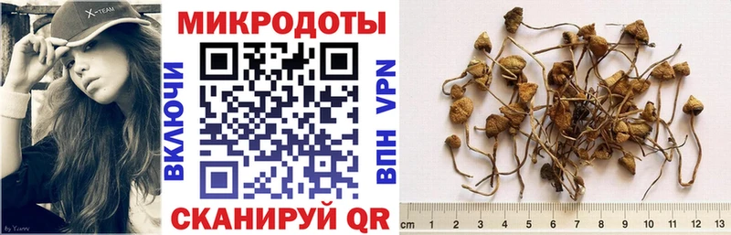 Псилоцибиновые грибы мицелий Осинники