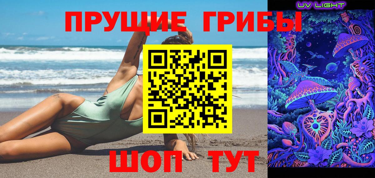 Осинники  Псилоцибиновые грибы Psilocybe  Вход с VPN 